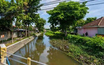 sungai tambakberas muktamar nu dan ronggolawe
